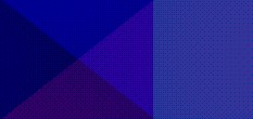 figc firenze