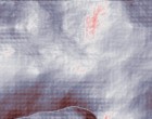 sulla condizione giovanile